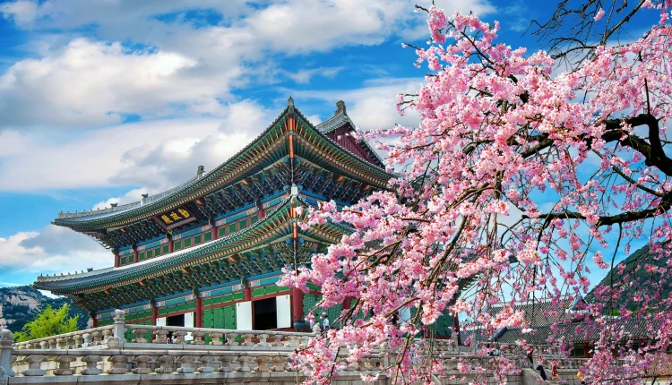 Studying in South Korea: A Comprehensive Guide to Realizing Your Dream